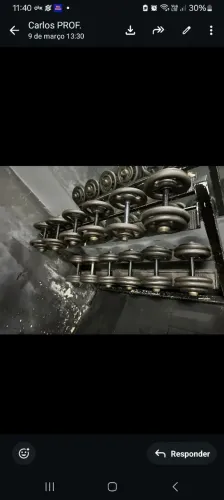 Halteres Anilhas Dumbells