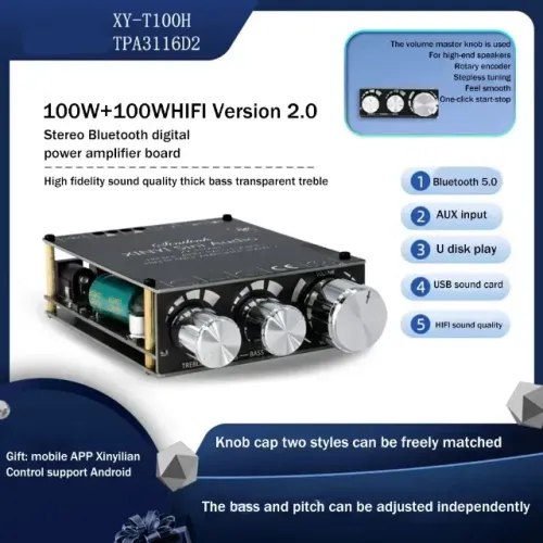 Amplificador Bluetooth XY-T100H