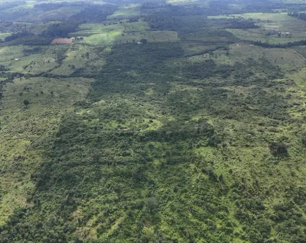 FAZENDA/SÍTIO 100 HECTARES - TÍTULO DEFINITIVO - MEDICILÂNDIA/PA