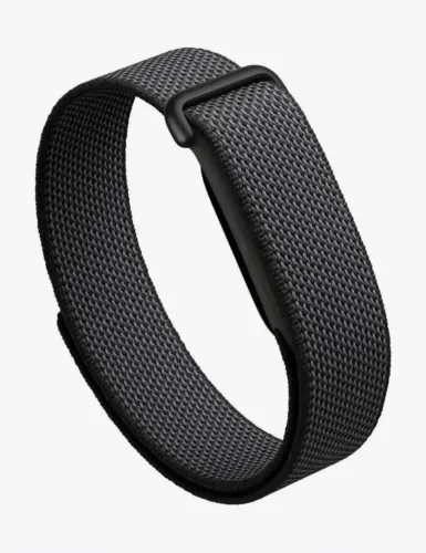 Google FitBit Air