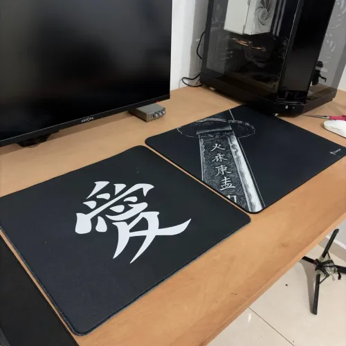 Mousepad Xraypad