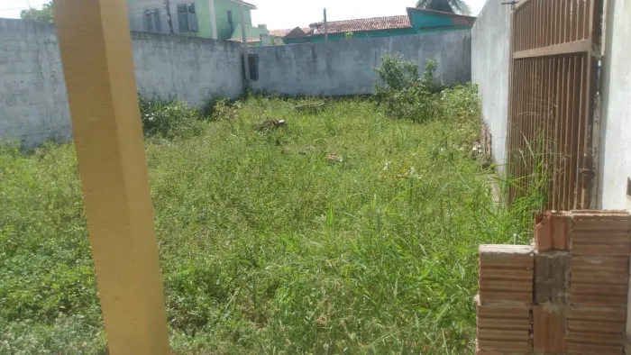 Terreno no campo da mangueira
