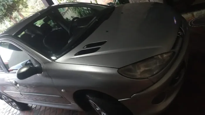 Peugeot 206 Presence 1.4/ 1.4 Flex 8V 5P 2008
