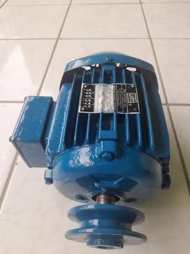 Motor Elétrico Trifásico Weg 3cv 1750rpm baixa rotação usado 