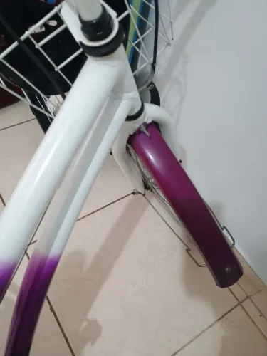 Bicicleta feminina 