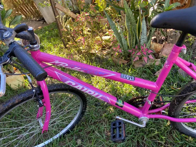 Vendo Bicicleta adulto/ adolescente 