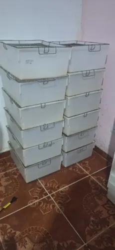 Caixas biotério para ratos mercol e hamster