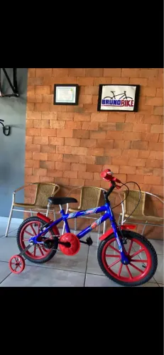 Bicicleta 16