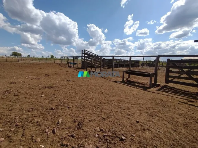 FAZENDA À VENDA - 1.000 HECTARES - SANTA FÉ DE MINAS (MG)