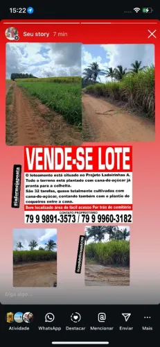 Vende-se lote já com plantação de cana de açúcar 