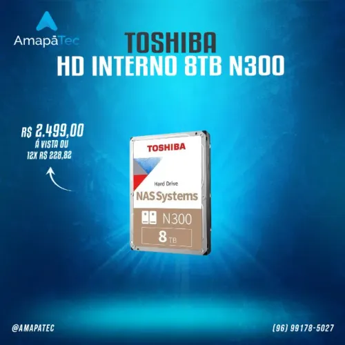 HD Toshiba N300 10TB