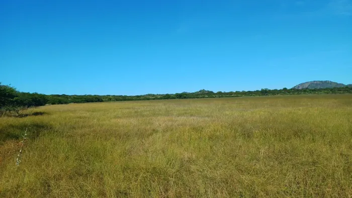 Fazenda itaberaba