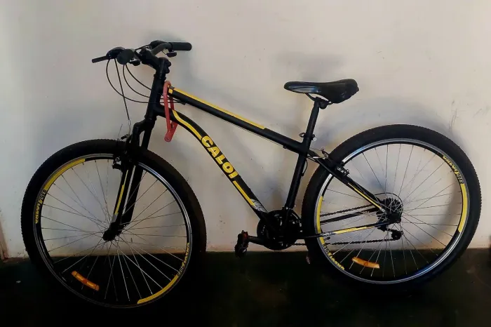 Vendo Caloi aro 29 quadro 17"