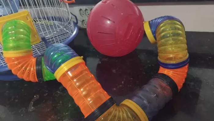 Gaiola Hamster Arena Redonda Quatiguá Azul Com Tubos + Globo 150 reais
