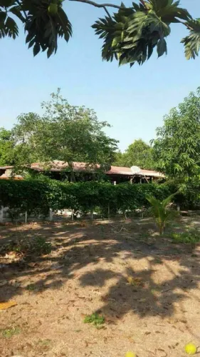 Sítio no Rio Preto da Eva 