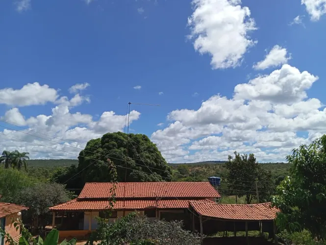 Sitio/Água de Rio,Poço Artesiano,Casa Com 4 Quartos,Curral/Escriturado..