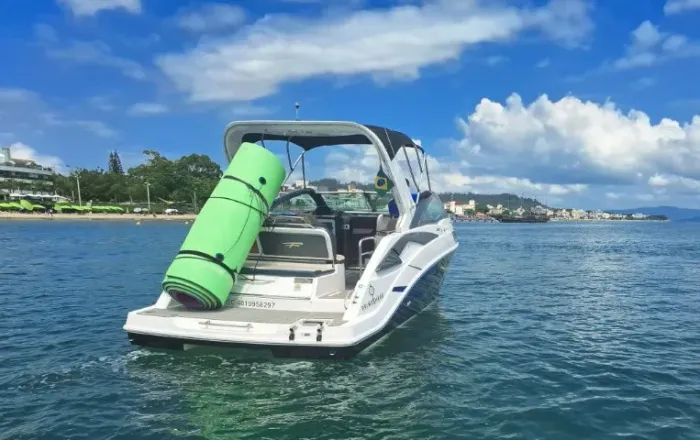 Focker 275 grupo 4 donos