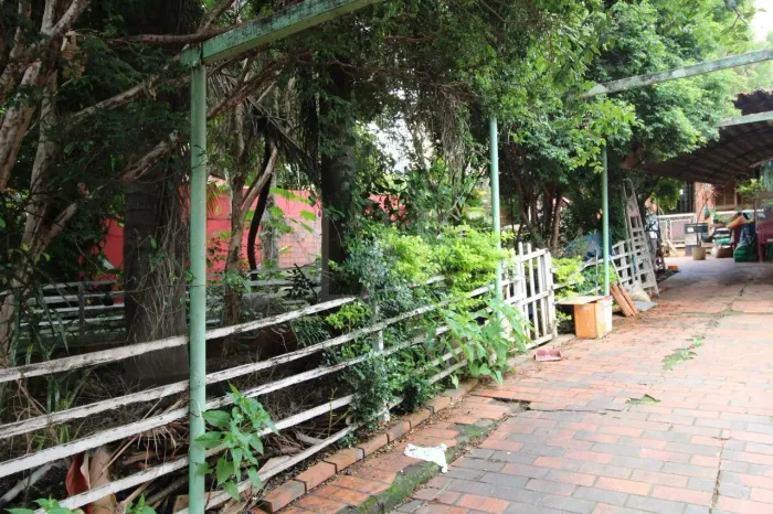 Lote - Terreno à venda, Santa Amélia - Belo Horizonte/MG