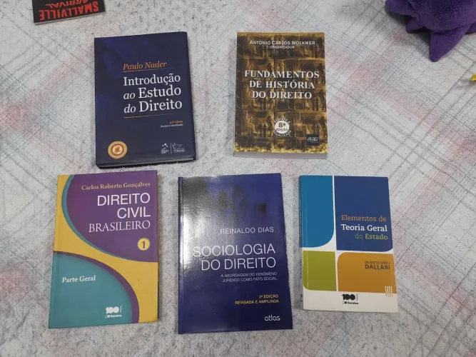Lote TODOS os Livros de Direito 