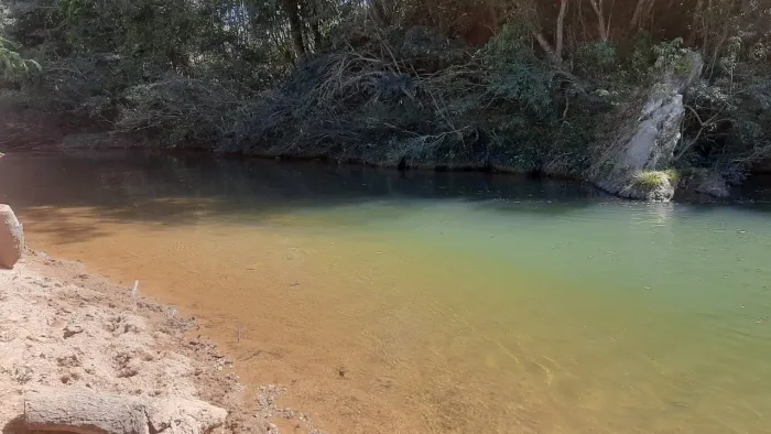 Sítio de 14 alqueires 