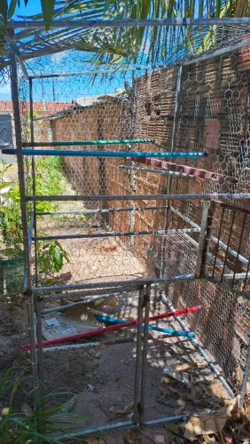 VIVEIRO DE PÁSSAROS TELADO COM METALON GALVANIZADO 1,50X1, 00M