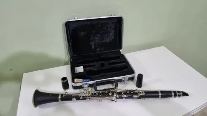 Clarinete Shelter CL-15680