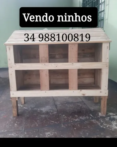 Vendo ninhos