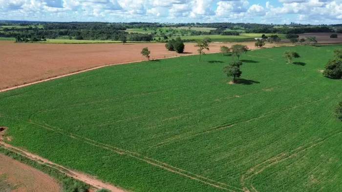 Fazenda a venda Bela Vista de Goiás!!