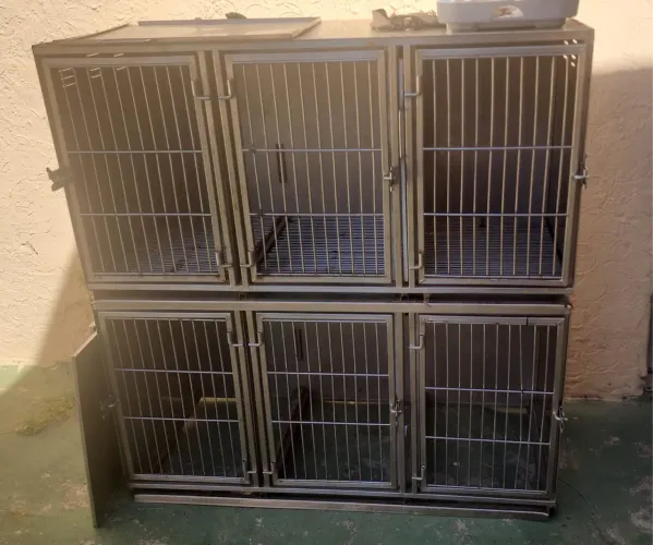 Canil para petshop, banho e tosa ou clínica veterinária