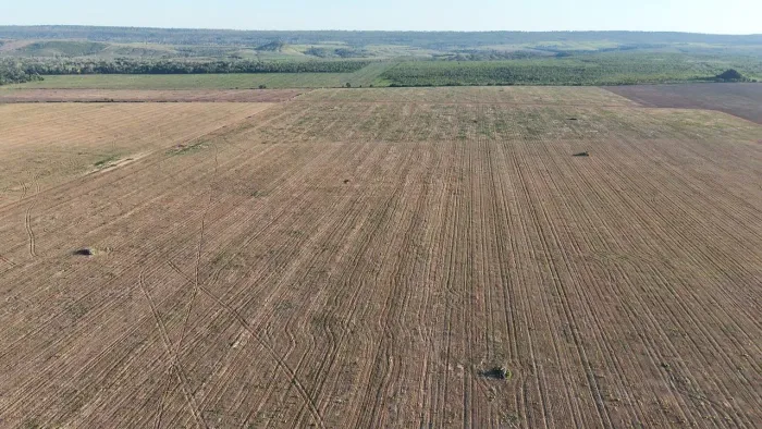 Fazenda de arrendamento 3.000 hec a 110 km de alta floresta MT. Ágio 3 milhões.
