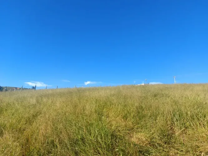 terreno 1000 m2 em Piracaia SP