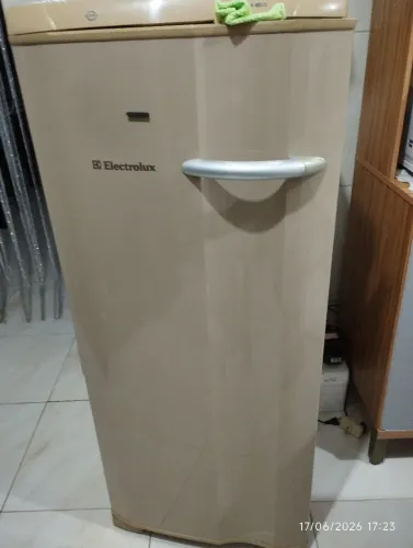 Freezer vertical