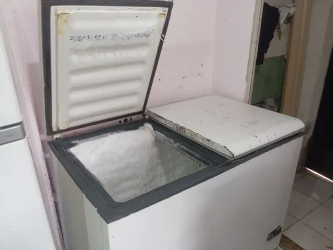 Freezer deitado 2 portas