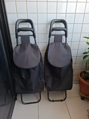 Dois carrinhos de compras