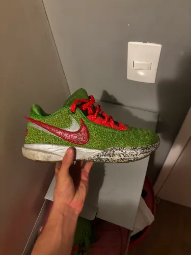 Lebron XX grinch
