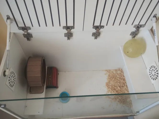 Casa para roedores