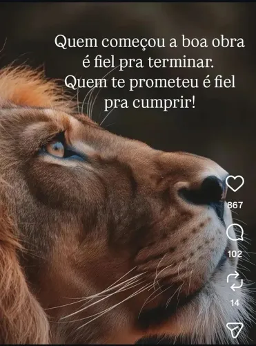 Vaga para chapista