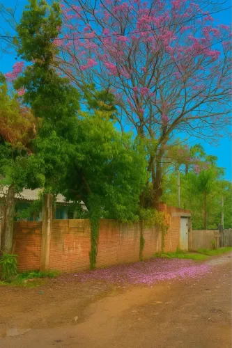 Linda chácara em Sapucaia 