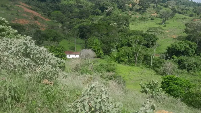 Sítio venda em São João Nepomuceno MG. 45 hectares.