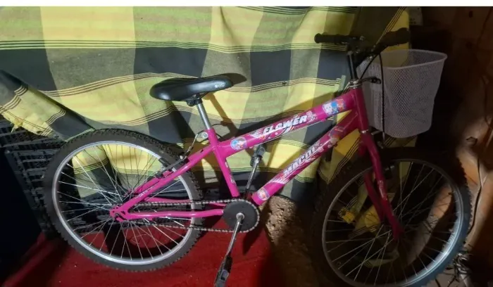 Bicicleta aro 24