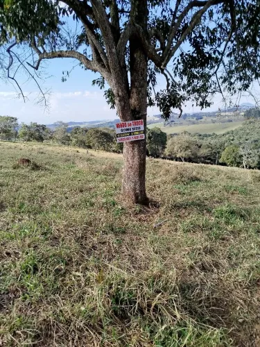 Vendo excelente Sítio no Sul de Mg.