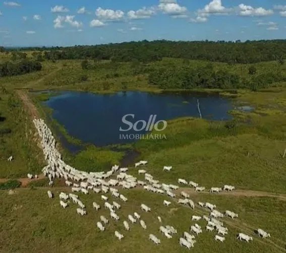 Venda Fazenda DOURADINHO