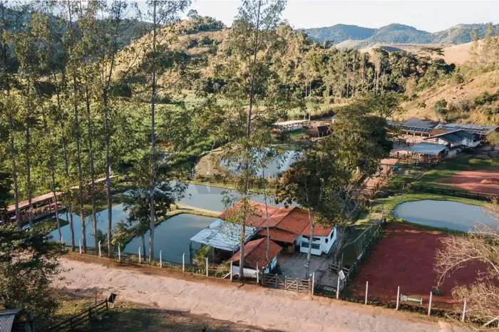 Fazenda Produtiva Além Paraíba