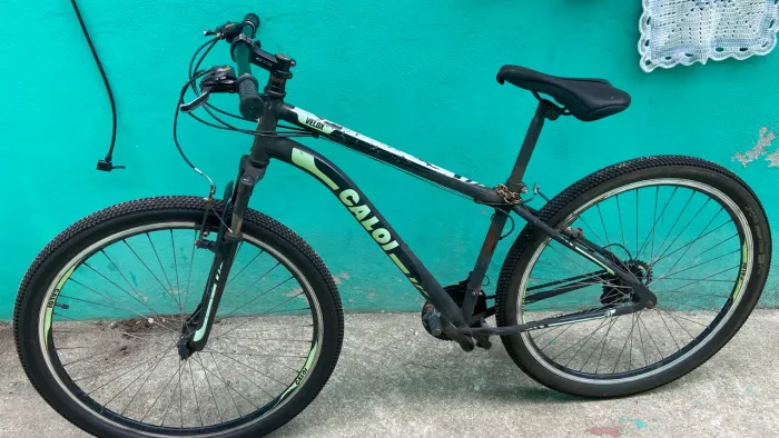 Caloi Velox Aro 29