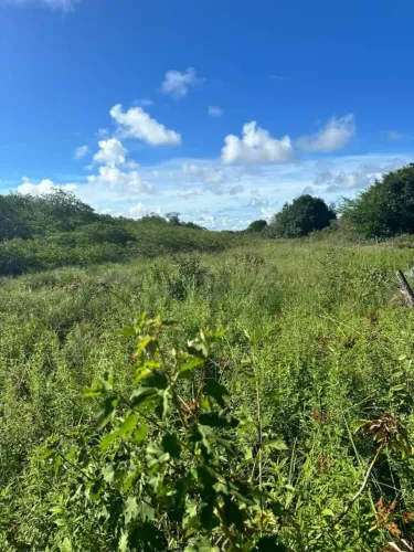 Terreno em Pirambu-Se 20 X 40
