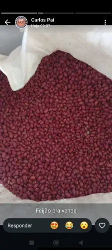 Feijão vermelho novo