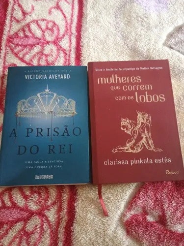 Livros capa dura (desapego)