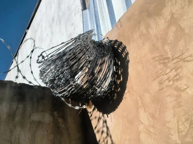 Concertina