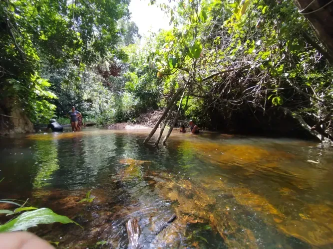 VENDE EXCELENTE PROPRIEDADE EM MORROS- MA 35 Ha .