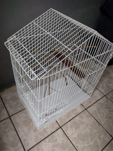 Vendo gaiola grande viveiro